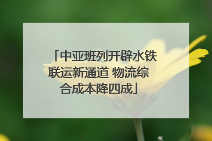 中亚班列开辟水铁联运新通道 物流综合成本降四成