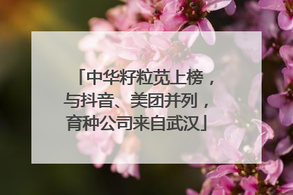中华籽粒苋上榜，与抖音、美团并列，育种公司来自武汉