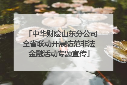 中华财险山东分公司全省联动开展防范非法金融活动专题宣传