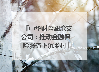 中华财险澜沧支公司：推动金融保险服务下沉乡村
