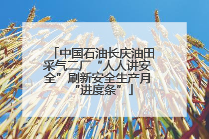 中国石油长庆油田采气二厂“人人讲安全”刷新安全生产月“进度条”