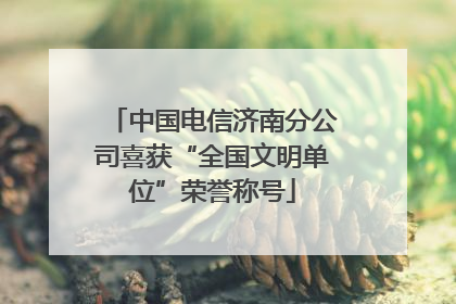 中国电信济南分公司喜获“全国文明单位”荣誉称号