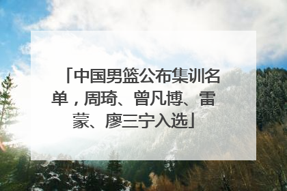 中国男篮公布集训名单，周琦、曾凡博、雷蒙、廖三宁入选