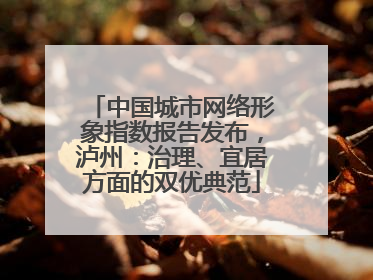 中国城市网络形象指数报告发布，泸州：治理、宜居方面的双优典范