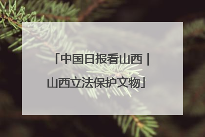 中国日报看山西｜山西立法保护文物