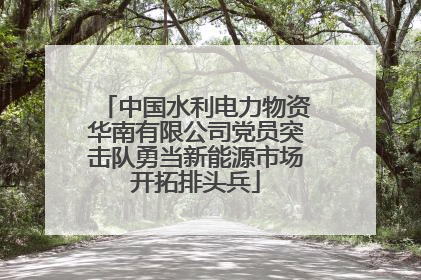 中国水利电力物资华南有限公司党员突击队勇当新能源市场开拓排头兵