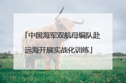 中国海军双航母编队赴远海开展实战化训练