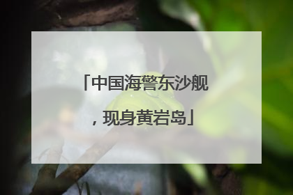 中国海警东沙舰，现身黄岩岛