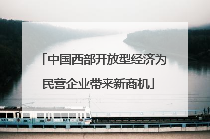 中国西部开放型经济为民营企业带来新商机