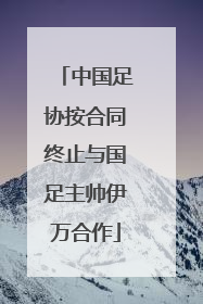中国足协按合同终止与国足主帅伊万合作