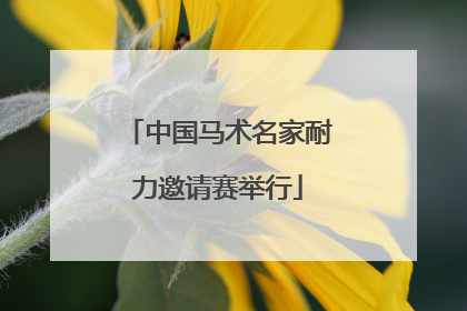 中国马术名家耐力邀请赛举行