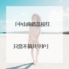 中山南路荔枝红 只赏不摘共守护