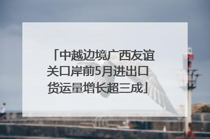 中越边境广西友谊关口岸前5月进出口货运量增长超三成