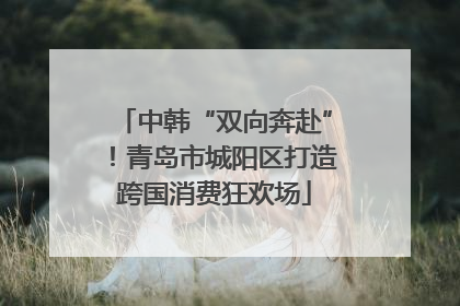 中韩“双向奔赴”！青岛市城阳区打造跨国消费狂欢场