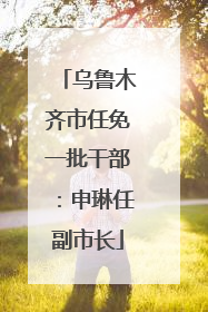 乌鲁木齐市任免一批干部：申琳任副市长