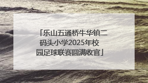 乐山五通桥牛华镇二码头小学2025年校园足球联赛圆满收官
