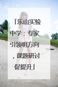 乐山实验中学：专家引领明方向，课题研讨促提升