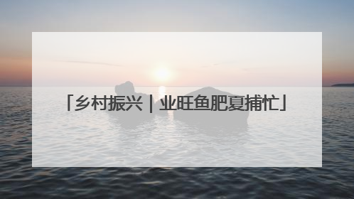 乡村振兴｜业旺鱼肥夏捕忙