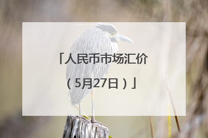 人民币市场汇价（5月27日）