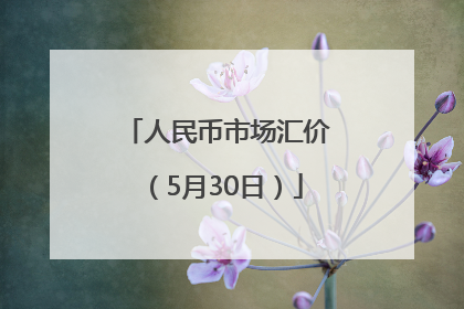 人民币市场汇价（5月30日）