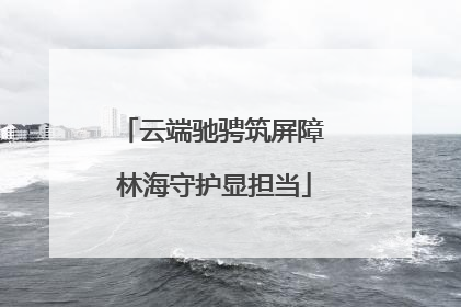 云端驰骋筑屏障 林海守护显担当