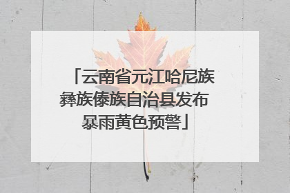 云南省元江哈尼族彝族傣族自治县发布暴雨黄色预警