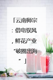 云南师宗：借电驭风，鲜花产业“破圈出海”