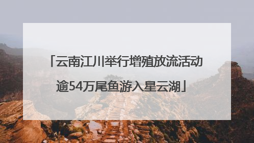 云南江川举行增殖放流活动 逾54万尾鱼游入星云湖