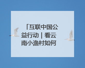互联中国公益行动｜看云南小渔村如何“烤”出乡村振兴新滋味