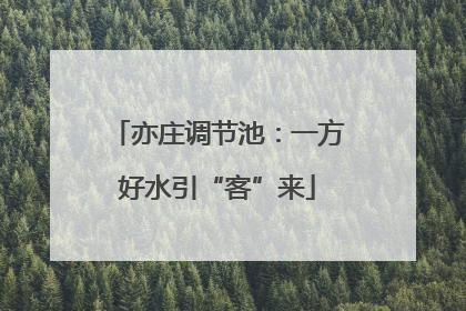 亦庄调节池：一方好水引“客”来