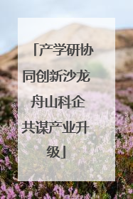 产学研协同创新沙龙 舟山科企共谋产业升级