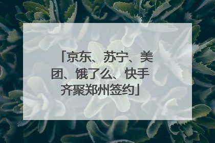 京东、苏宁、美团、饿了么、快手齐聚郑州签约