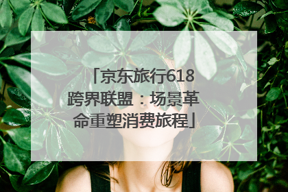京东旅行618跨界联盟：场景革命重塑消费旅程