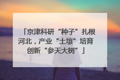 京津科研“种子”扎根河北，产业“土壤”培育创新“参天大树”