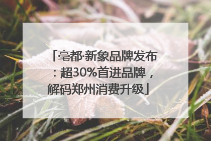 亳都·新象品牌发布：超30%首进品牌，解码郑州消费升级