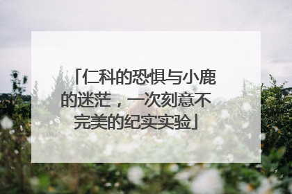 仁科的恐惧与小鹿的迷茫，一次刻意不完美的纪实实验