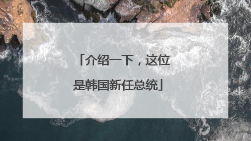 介绍一下，这位是韩国新任总统