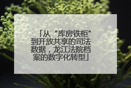 从“库房铁柜”到开放共享的司法数据，龙江法院档案的数字化转型