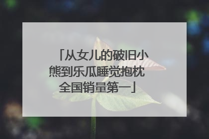 从女儿的破旧小熊到乐瓜睡觉抱枕全国销量第一