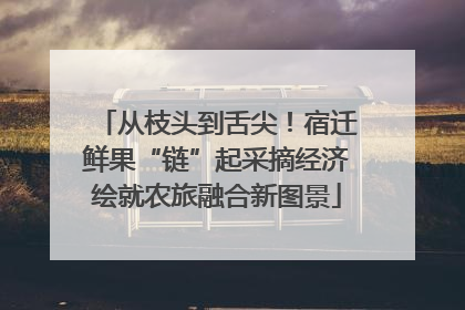 从枝头到舌尖！宿迁鲜果“链”起采摘经济绘就农旅融合新图景