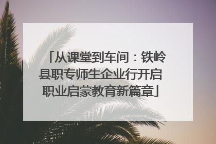 从课堂到车间：铁岭县职专师生企业行开启职业启蒙教育新篇章