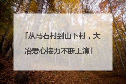 从马石村到山下村，大冶爱心接力不断上演