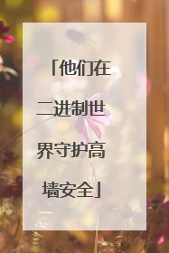 他们在二进制世界守护高墙安全