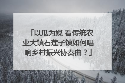以瓜为媒 看传统农业大镇石莲子镇如何唱响乡村振兴协奏曲？
