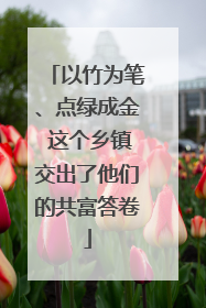 以竹为笔、点绿成金 这个乡镇交出了他们的共富答卷