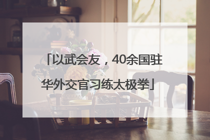 以武会友，40余国驻华外交官习练太极拳