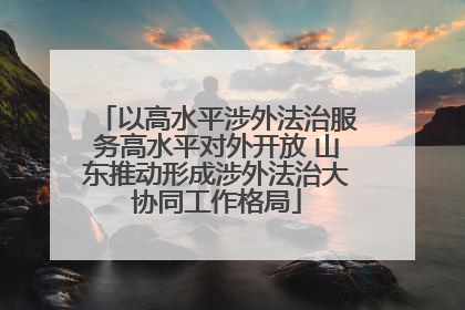 以高水平涉外法治服务高水平对外开放 山东推动形成涉外法治大协同工作格局