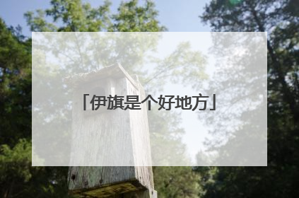 伊旗是个好地方
