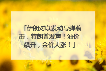 伊朗对以发动导弹袭击，特朗普发声！油价飙升，金价大涨！