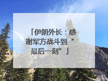 伊朗外长：感谢军方战斗到“最后一刻”